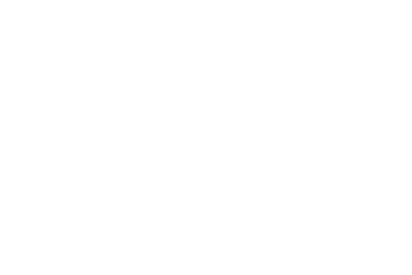 BWD Hauliers logo